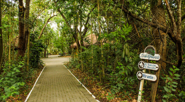 Meio Ambiente em Guararema | Imagem do Parque Ilha Grande