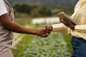 Compra e venda de terras em Guararema: negócios que movimentam o setor jurídico e impulsionam o agronegócio