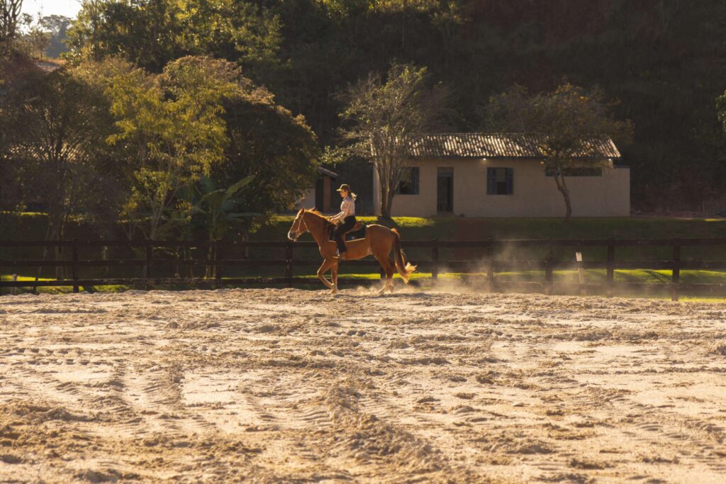 haras fazenda alto da boa vista bem estar cavalos e natureza em guararema 2 2