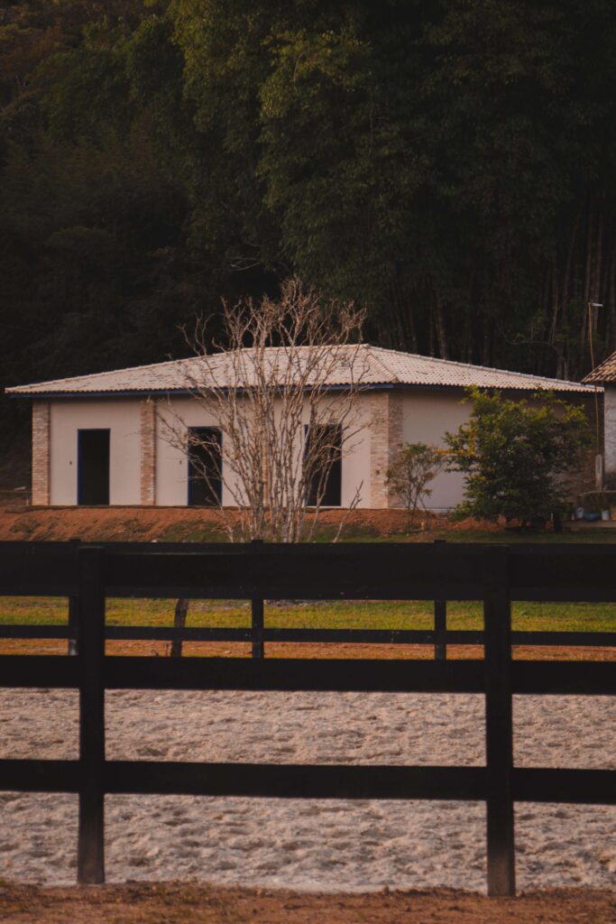 haras fazenda alto da boa vista bem estar cavalos e natureza em guararema 2 3